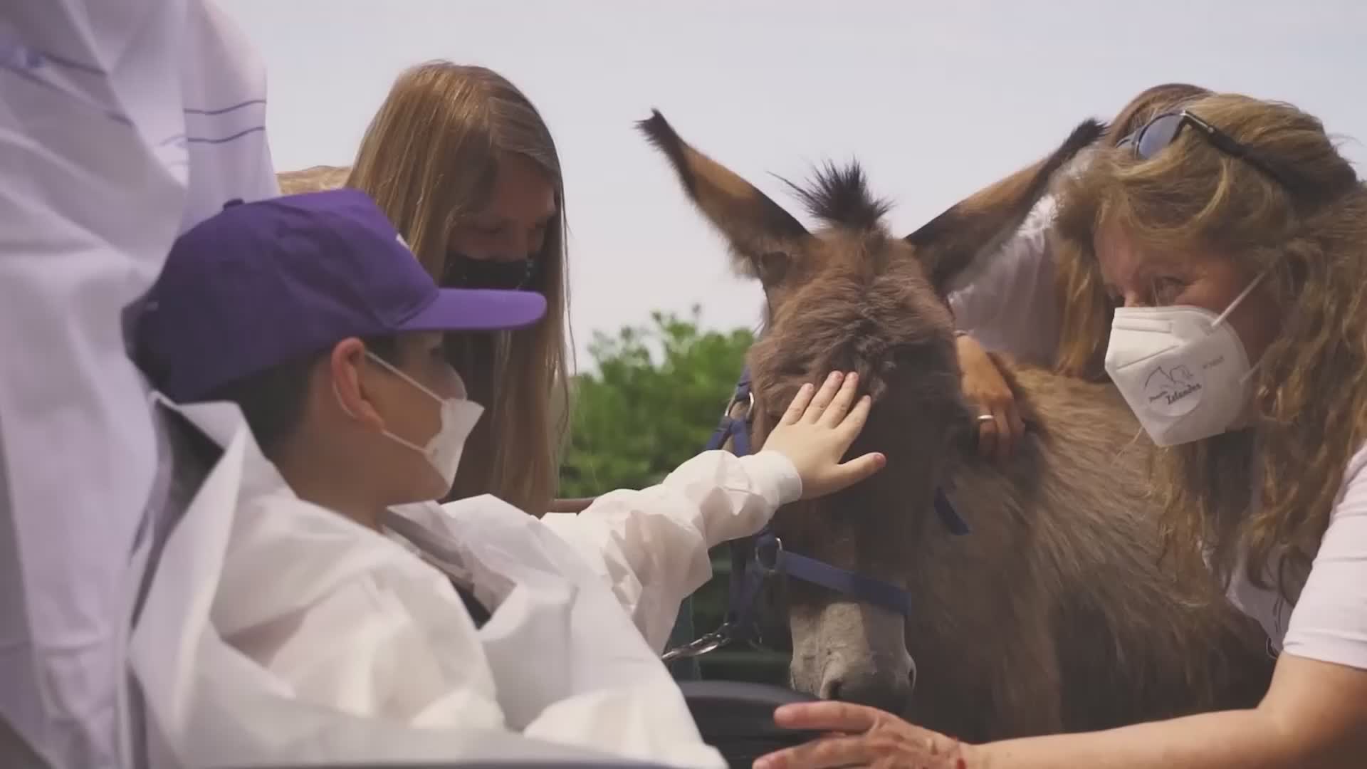 Genova Al Gaslini Un Pony Un Asino E Un Cane Per Aiutare Bambini