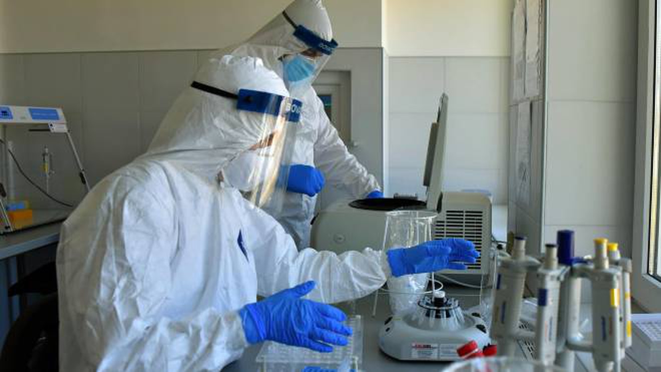 Coronavirus, nuova ricerca su Nature: l'immunità dura almeno sei mesi