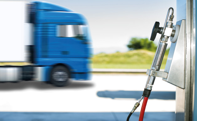 Dkv, nuova strategia green per diventare a impatto ambientale positivo entro il 2023