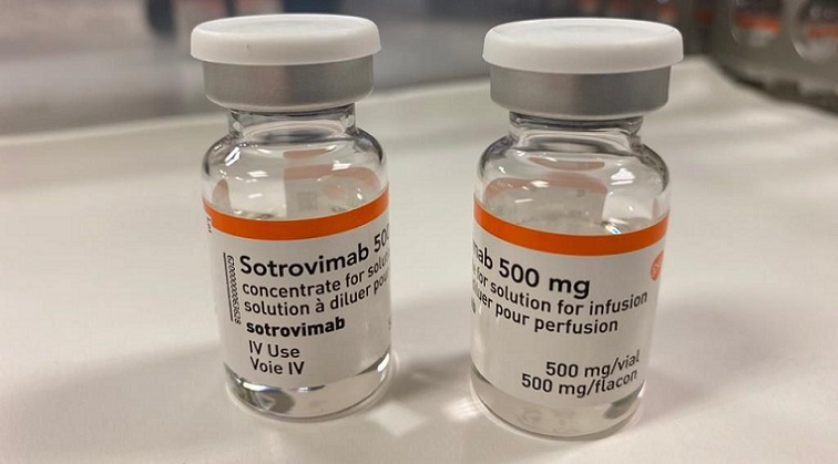 Covid, in arrivo in Liguria il nuovo anticorpo monoclonale Sotrovimab