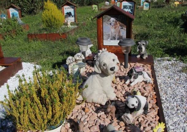 Liguria, tumulazione animali d'affezione, Tosi: "Il regolamento deve essere cambiato"
