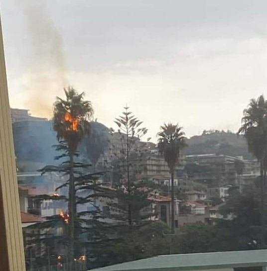 Forti piogge in provincia di Imperia: a Riva Ligure un fulmine incendia una palma