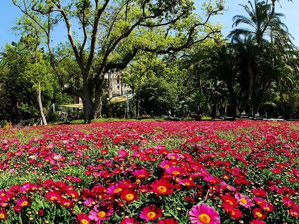 Euroflora, troppo affollamento. Il roseto di Nervi chiude da domani