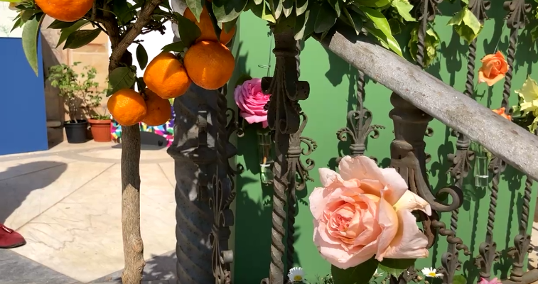 Euroflora 2022, mettete alla prova il vostro olfatto con Vivienne 