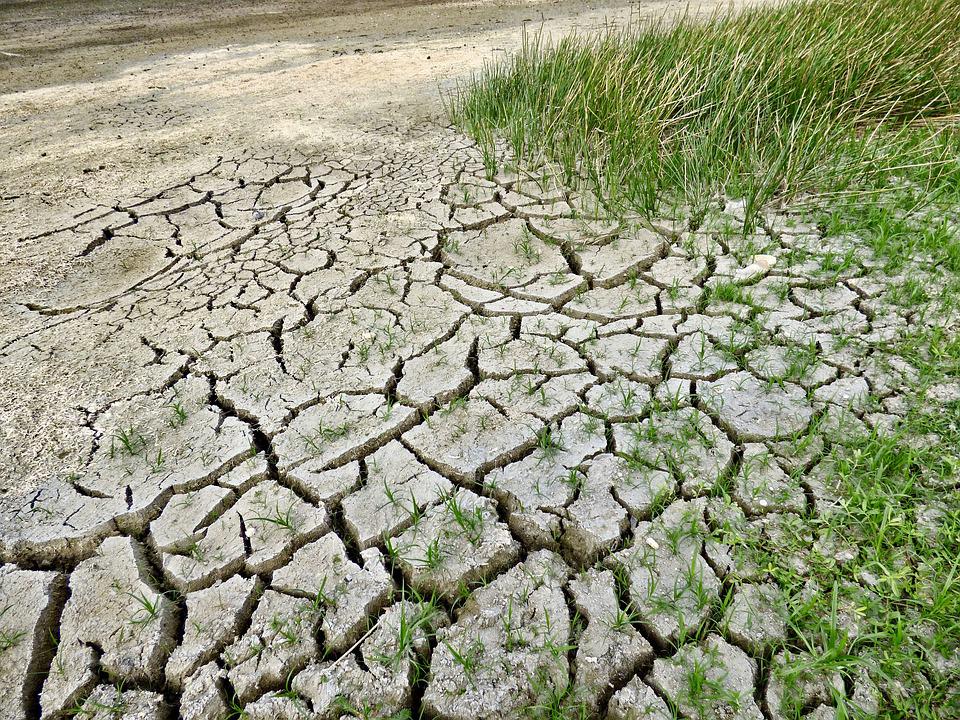 Siccità, Toti: "Domani firmerò il decreto per l'emergenza in Liguria"