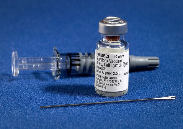 Vaiolo delle scimmie, il presidente Toti: "In arrivo i vaccini per la Liguria"