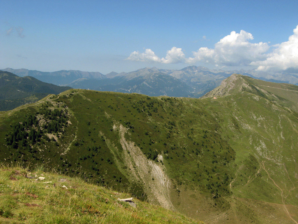 Ambiente, l'assessore all'Agricoltura Piana: "Mezzo milione aggiuntivo per lo sviluppo delle montagne"