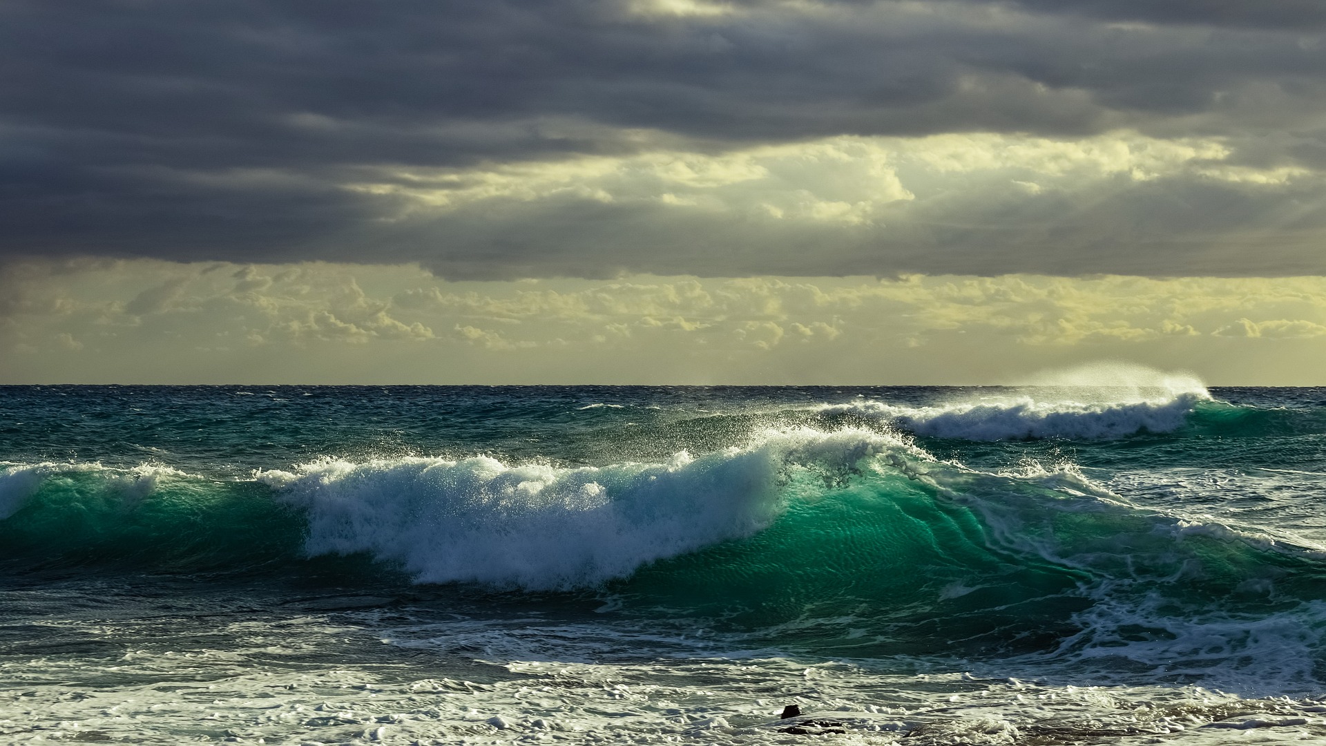 Imperia, le condizioni meteo peggiorano e l'attrezzatura si rompe: surfista salvato da una motovedetta del Roan