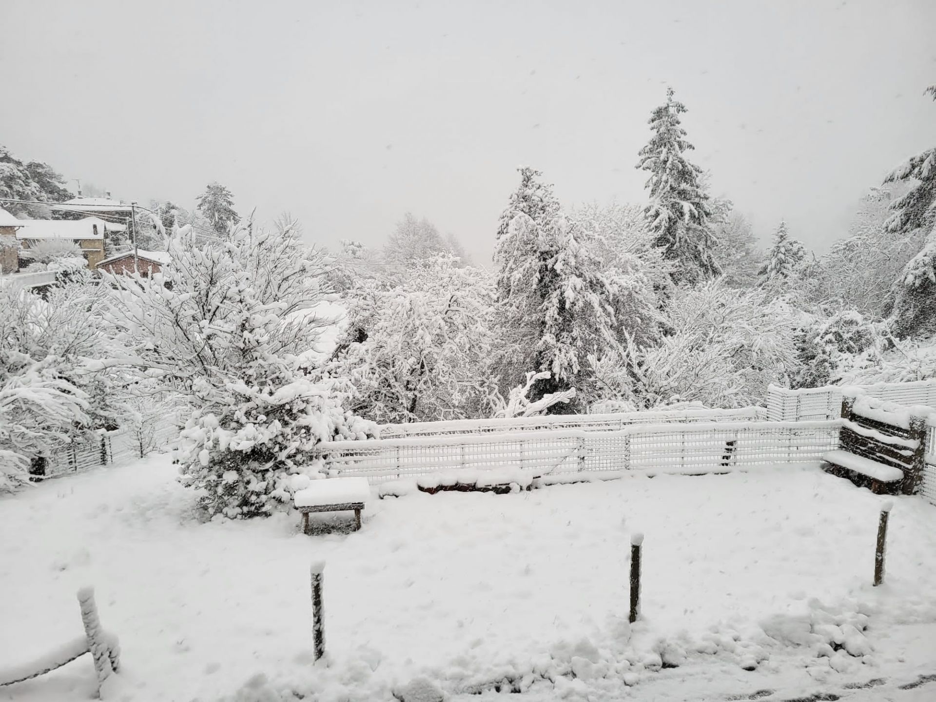 Busalla e Savignone, ecco la prima neve nell’entroterra ligure