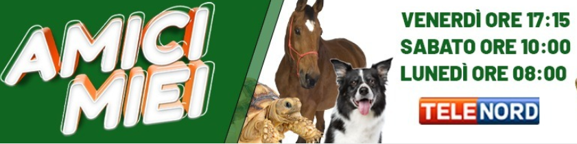Ecco “Amici Miei”, tutti i venerdì su Telenord 90 minuti  per chi ama gli animali