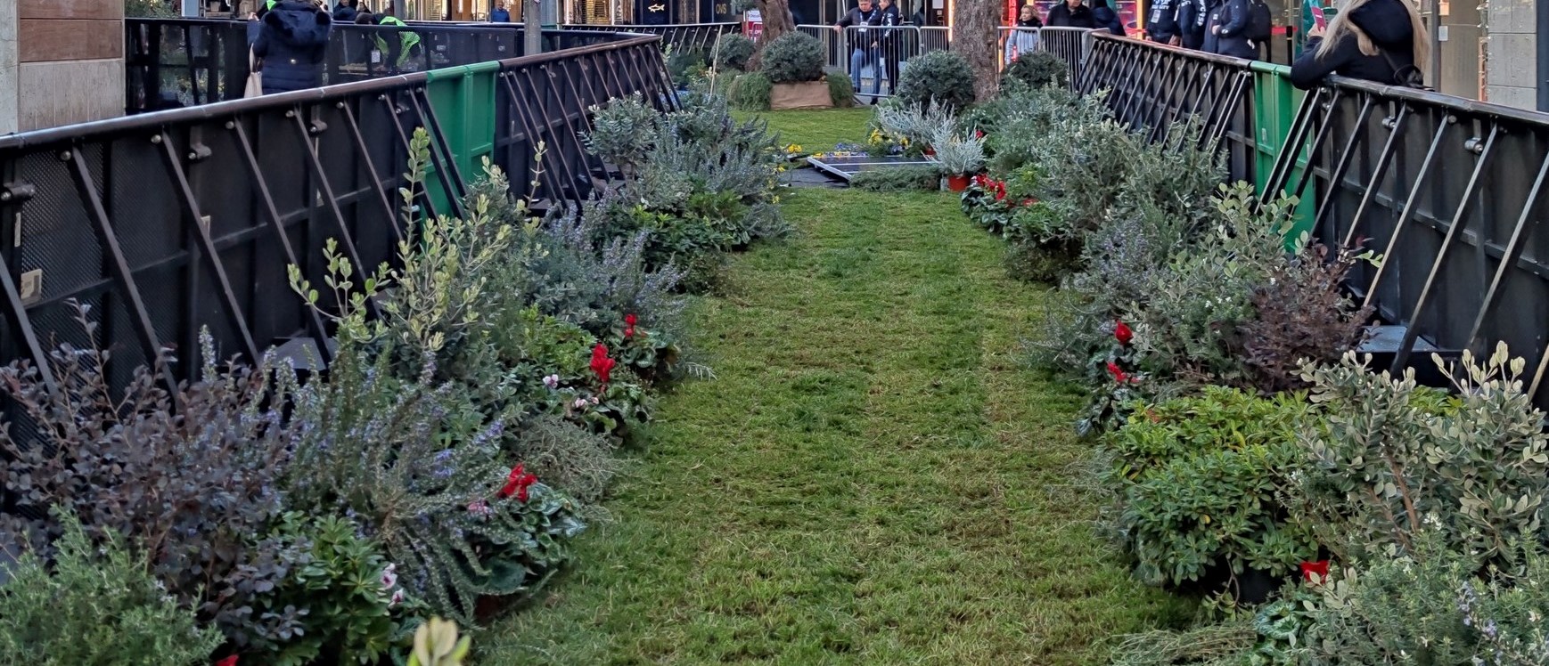 Sanremo, in fiamme camion del vivaio che ha realizzato il "green carpet" del Festival