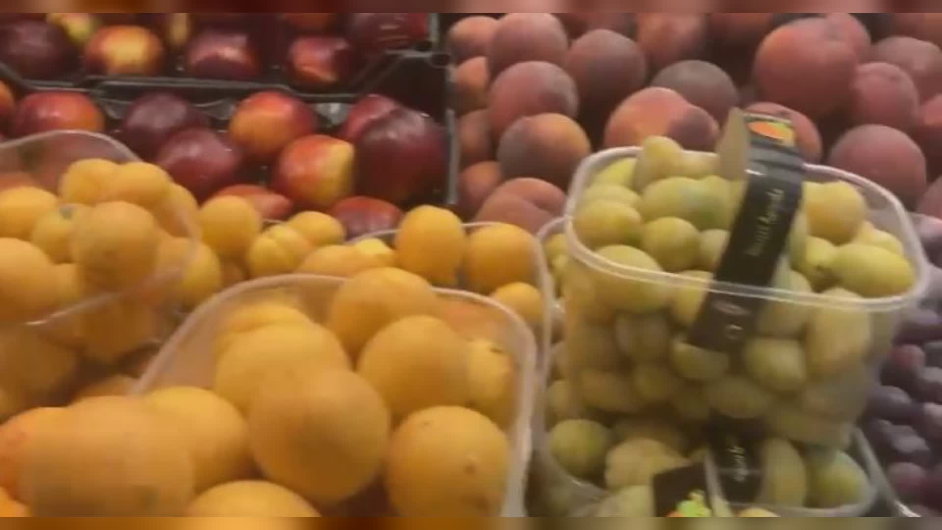 Liguria, il gran calore brucia frutta e verdura causando perdite importanti di prodotto