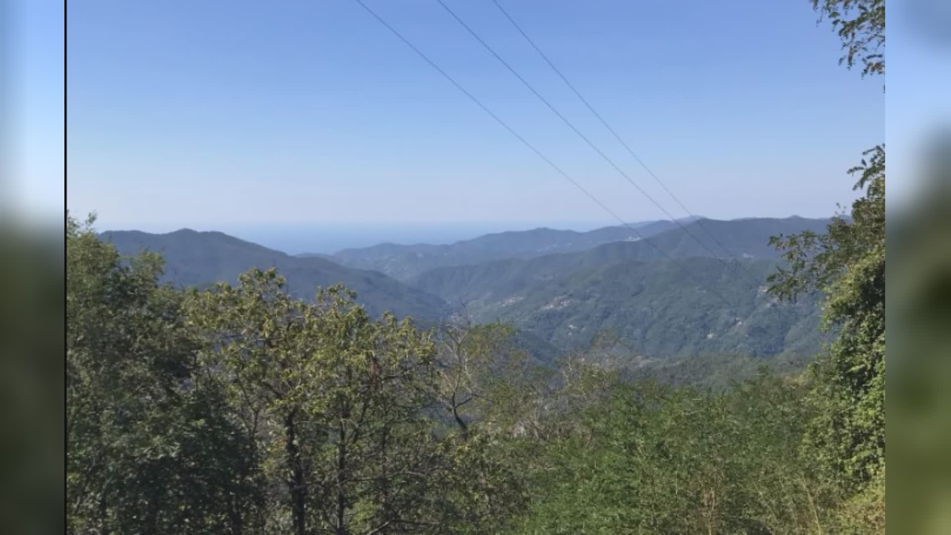Liguria, ambiente e boschi: 2 milioni di fondi per Parchi e Comuni