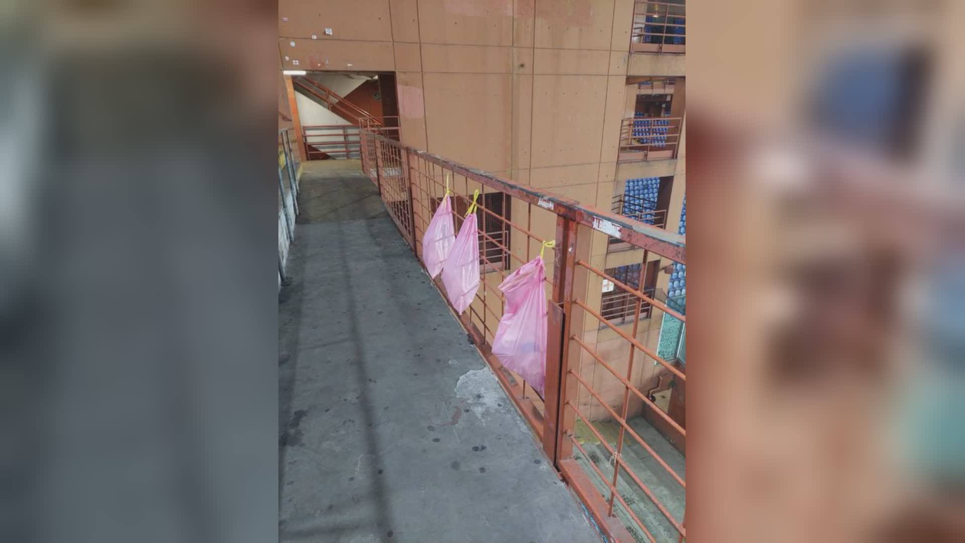Sampdoria-Cittadella, la "lezione" dei tifosi veneti: settore ospiti ripulito dopo la partita