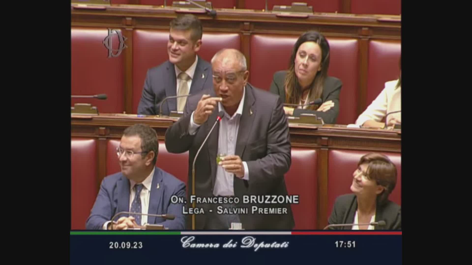 Pesto alla Camera: lo porta Bruzzone (Lega) per sbeffeggiare l'ex "sardina" Santori