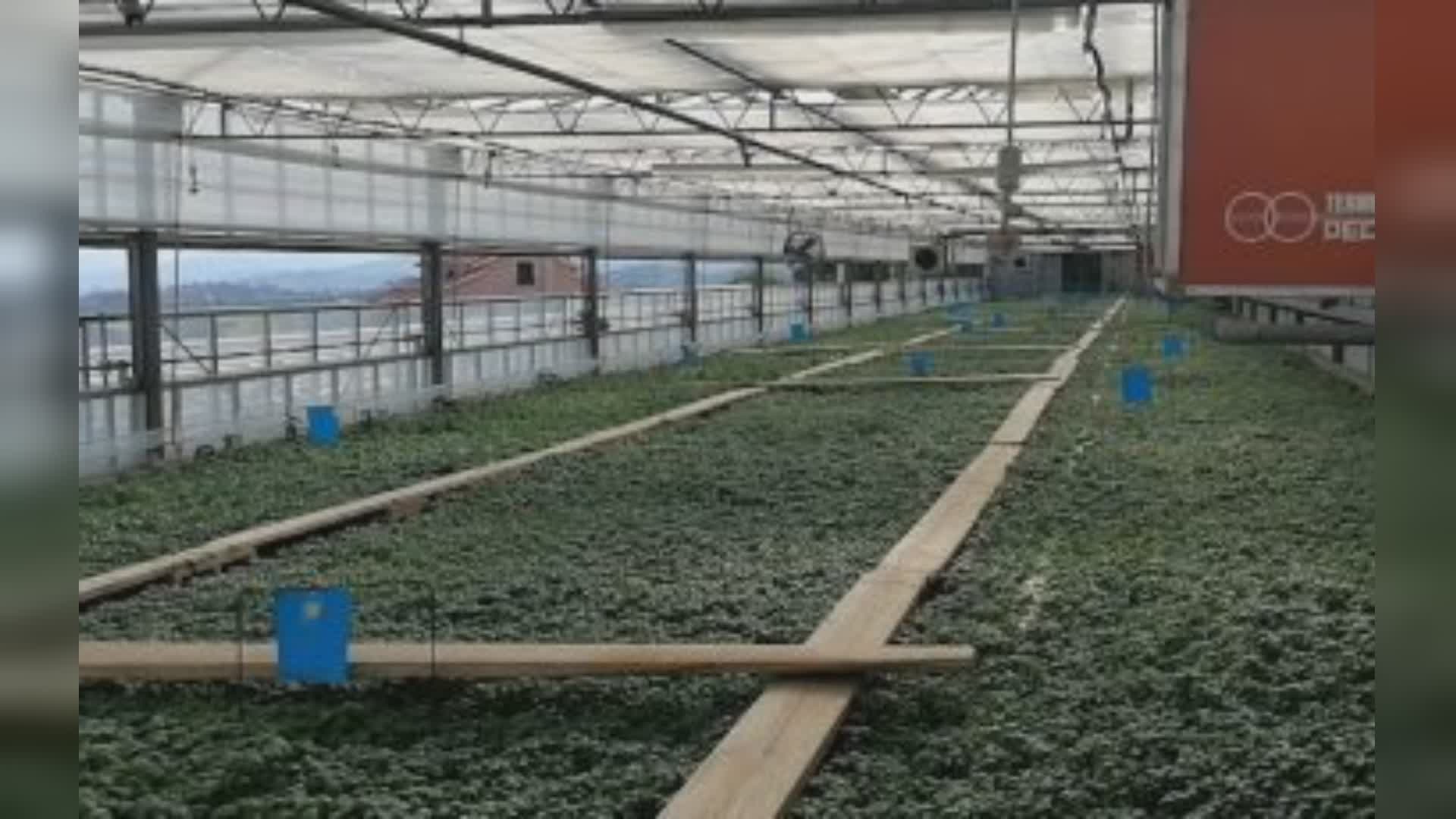 Agricoltura, Natale (Pd): "Uso fondi europei, Liguria maglia nera, spesa la metà di quanto stanziato"