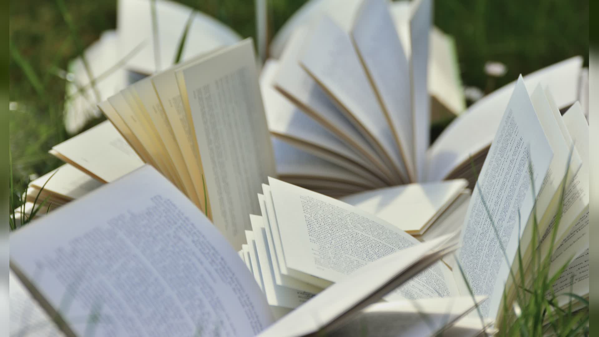 Loano, la Pro Loco lancia il "libro sospeso": volumi in dono per chi non può permetterseli