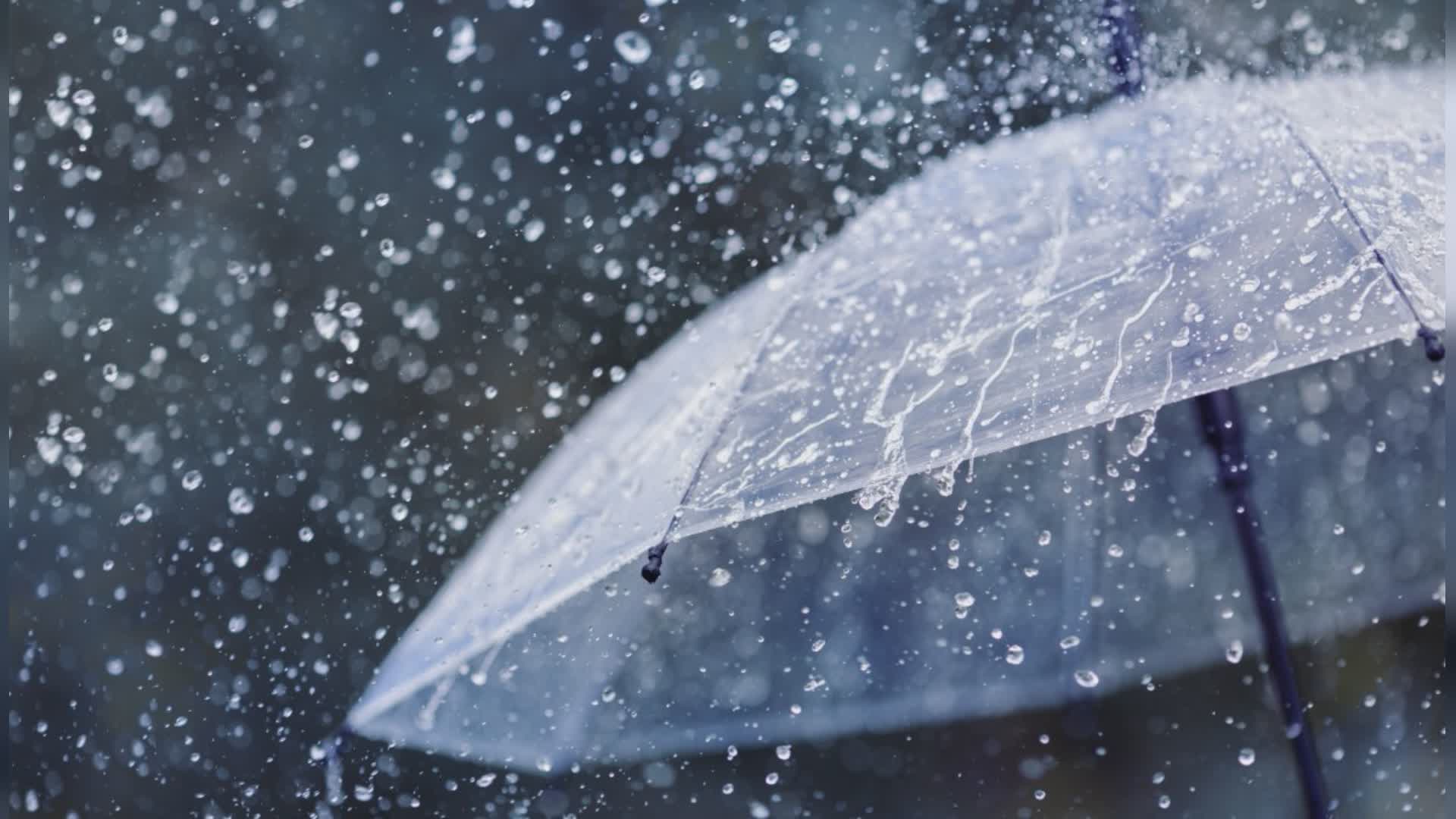 Imperia, maltempo colpisce Triora: abbattuti alberi, pali della luce e comignoli 