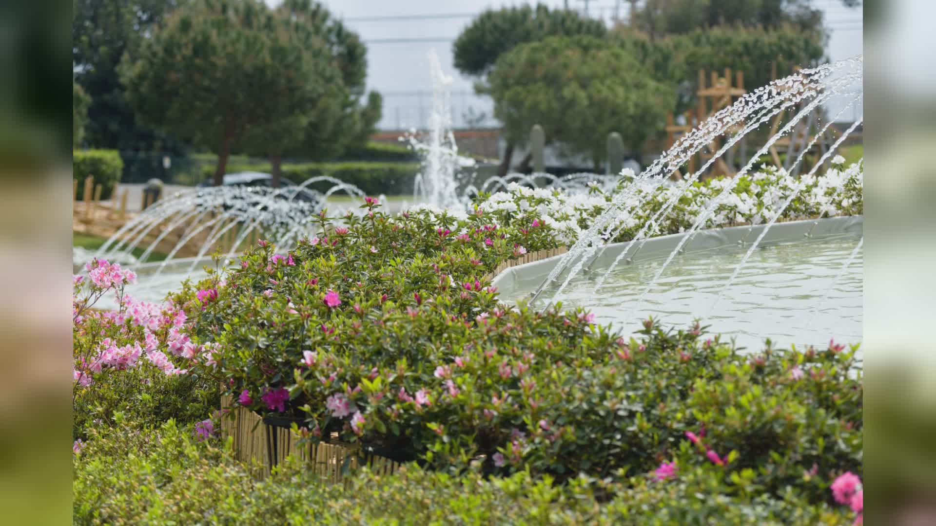 La Liguria vola ad Amsterdam per il florovivaismo: 300 aziende del territorio di fiori e verde ornamentale