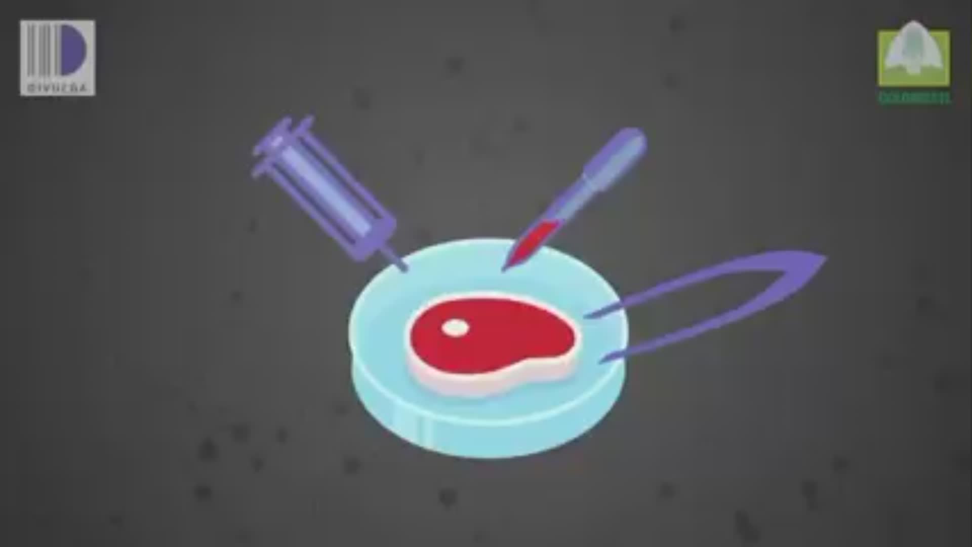 Coldiretti: "Carne sintetica un fallimento, negli Usa resta invenduta, no al cibo artificiale"