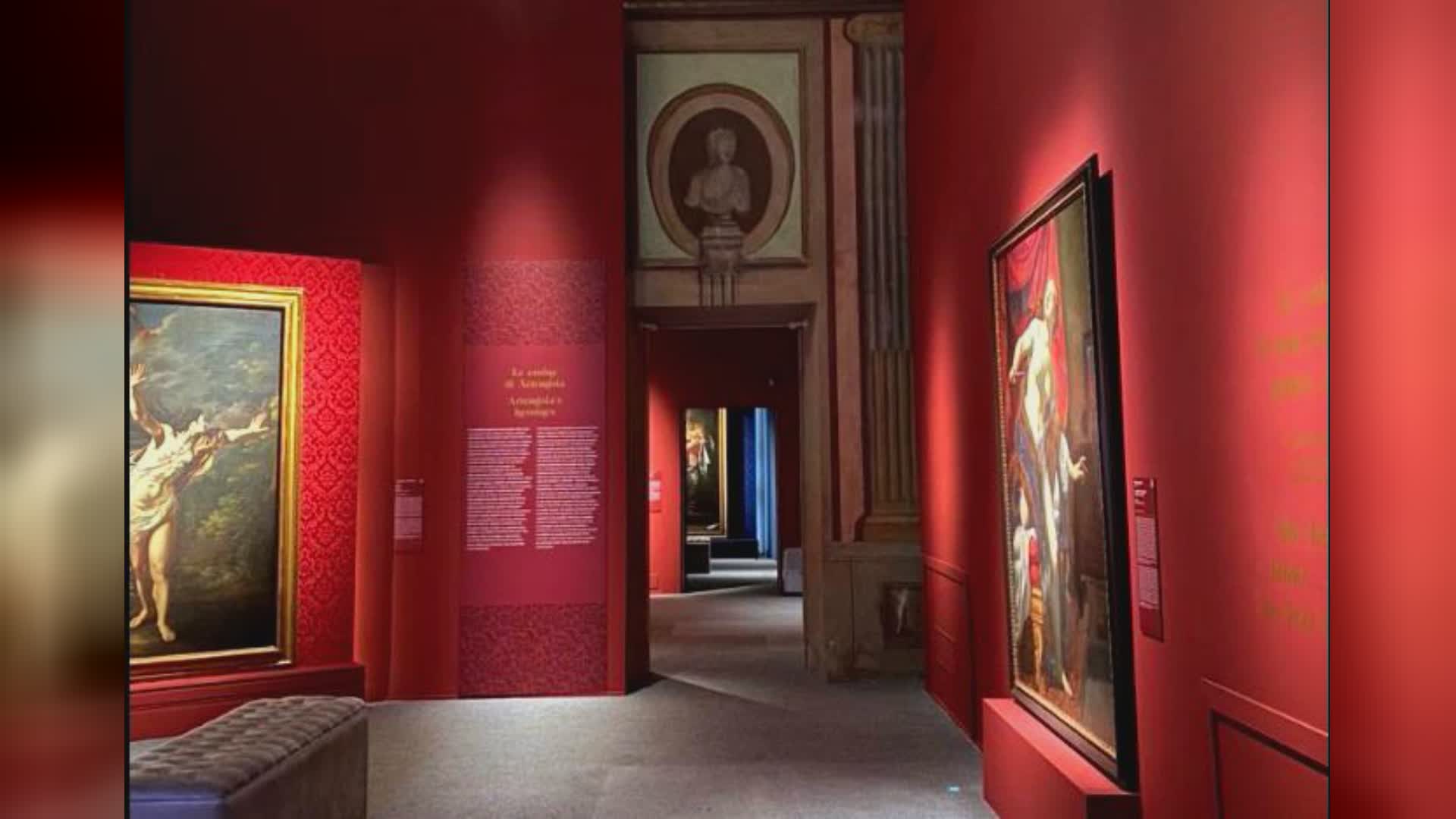 Genova, mostra Artemisia chiusa per rilievi danni dopo blitz femminista, Costa: "Lesi diritti dei visitatori, gesto da condannare"