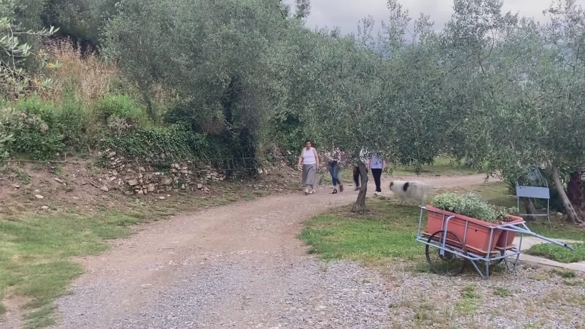 Donne in campo, in Liguria sono 3000 le imprese agricole a conduzione femminile