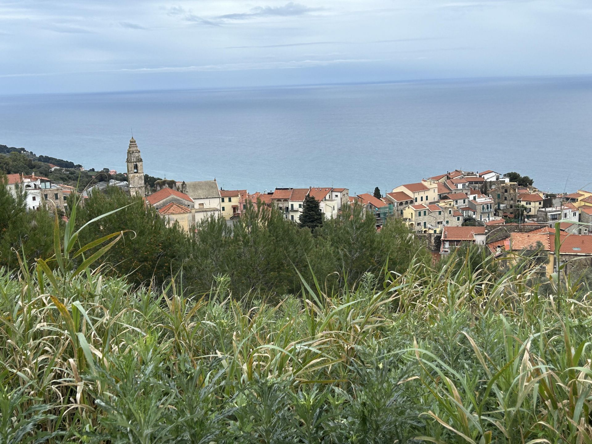 Benvenuti in Liguria tra i fiori e le ricette di Cipressa aspettando la Milano-Sanremo