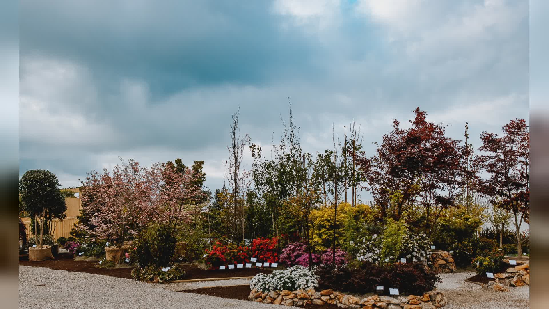 Euroflora 2025, premiati i 21 vincitori dei concorsi d'onore e sezioni speciali
