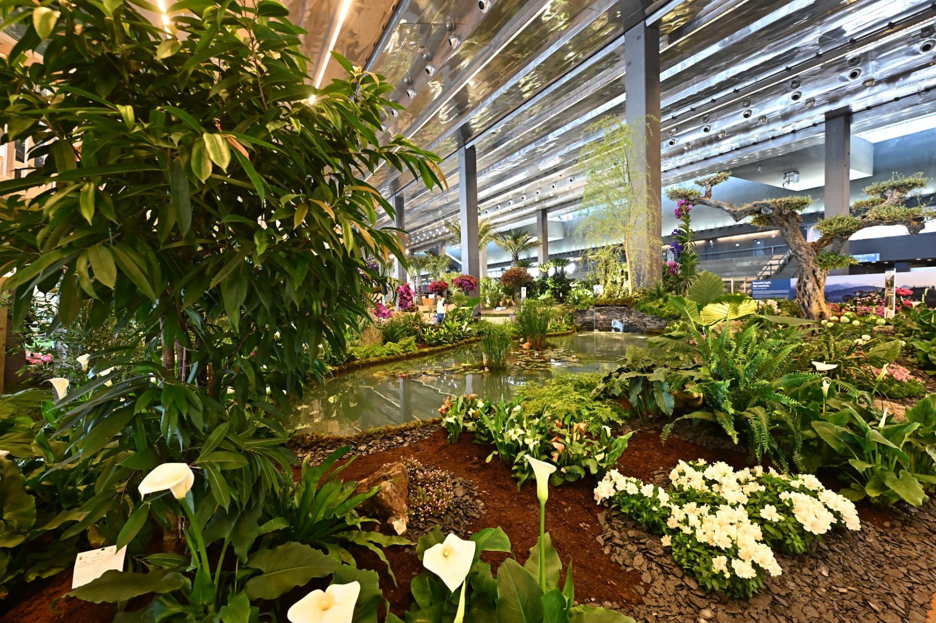 Euroflora 2025, giardini protagonisti con un doppio appuntamento: tra Filosofia, Arte, Terapia e Rinascita