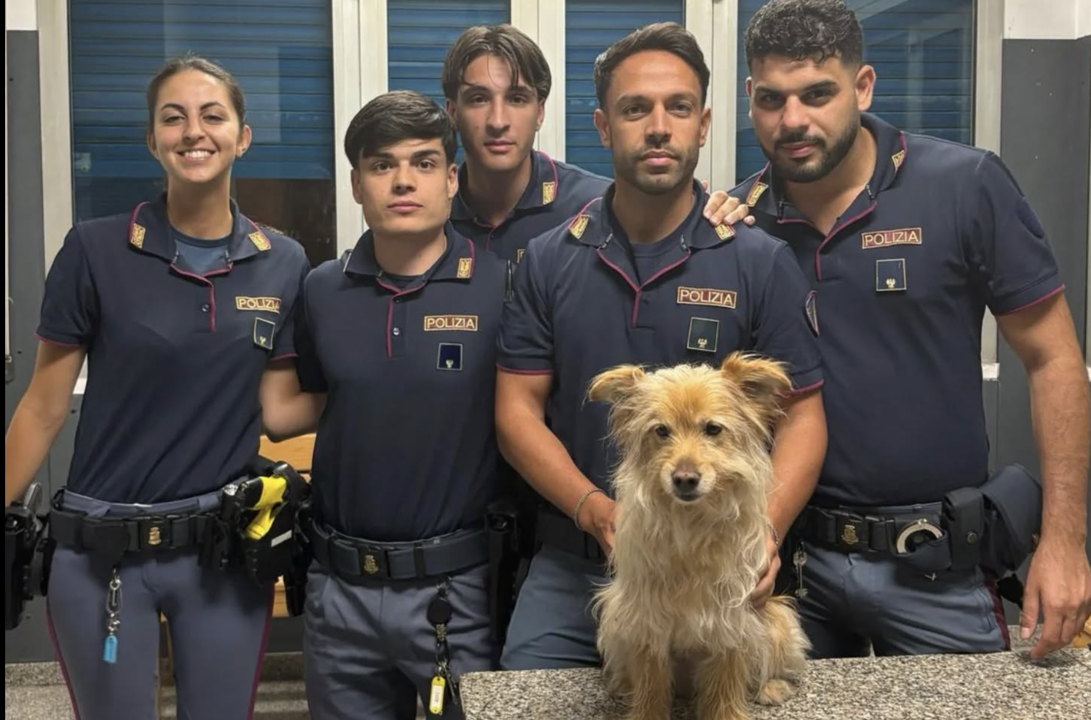Genova, cane spaventato scappa sulla Sopraelevata: salvato da due ragazzi e dalla Polizia stradale