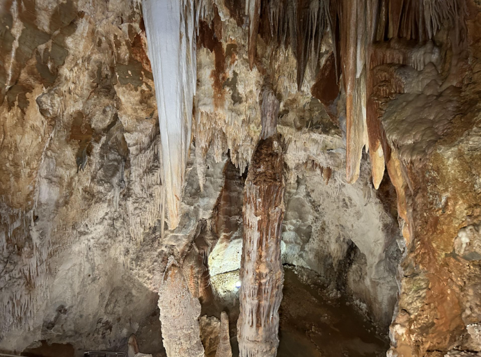 Savona: uomo e cane amici già 14.400 anni fa, le prove nella Grotta della Bàsura