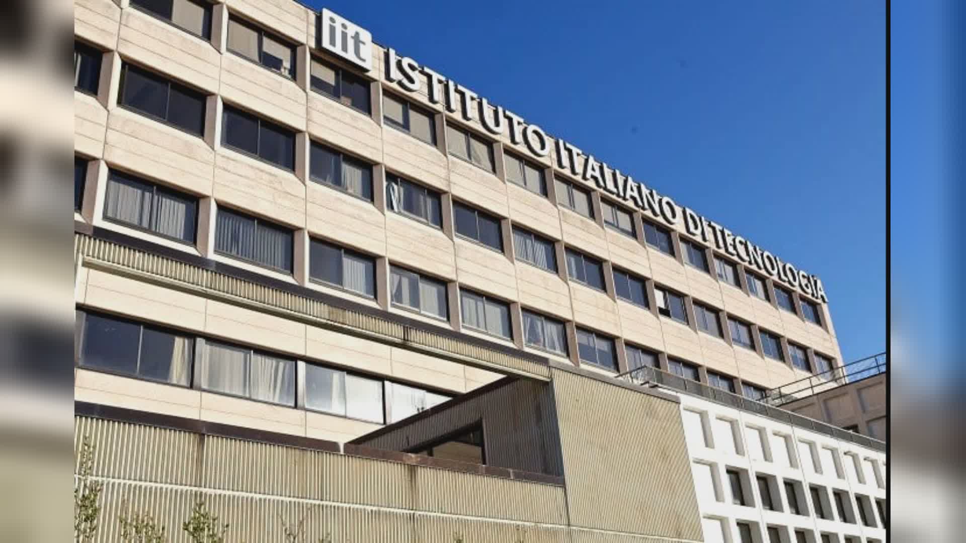 Studio Iit, Università e San Martino su cocktail microRNA per indebolire tumore al cervello