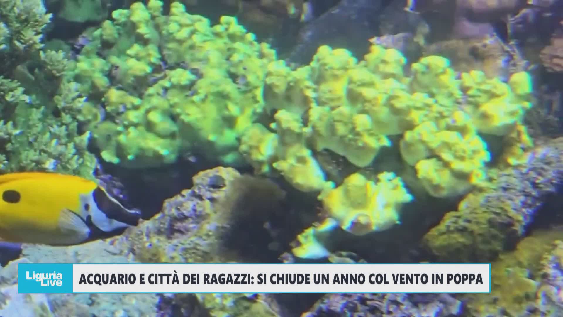 Acquario e Città dei Bambini e dei Ragazzi: il bilancio di un 2025 con il vento in poppa