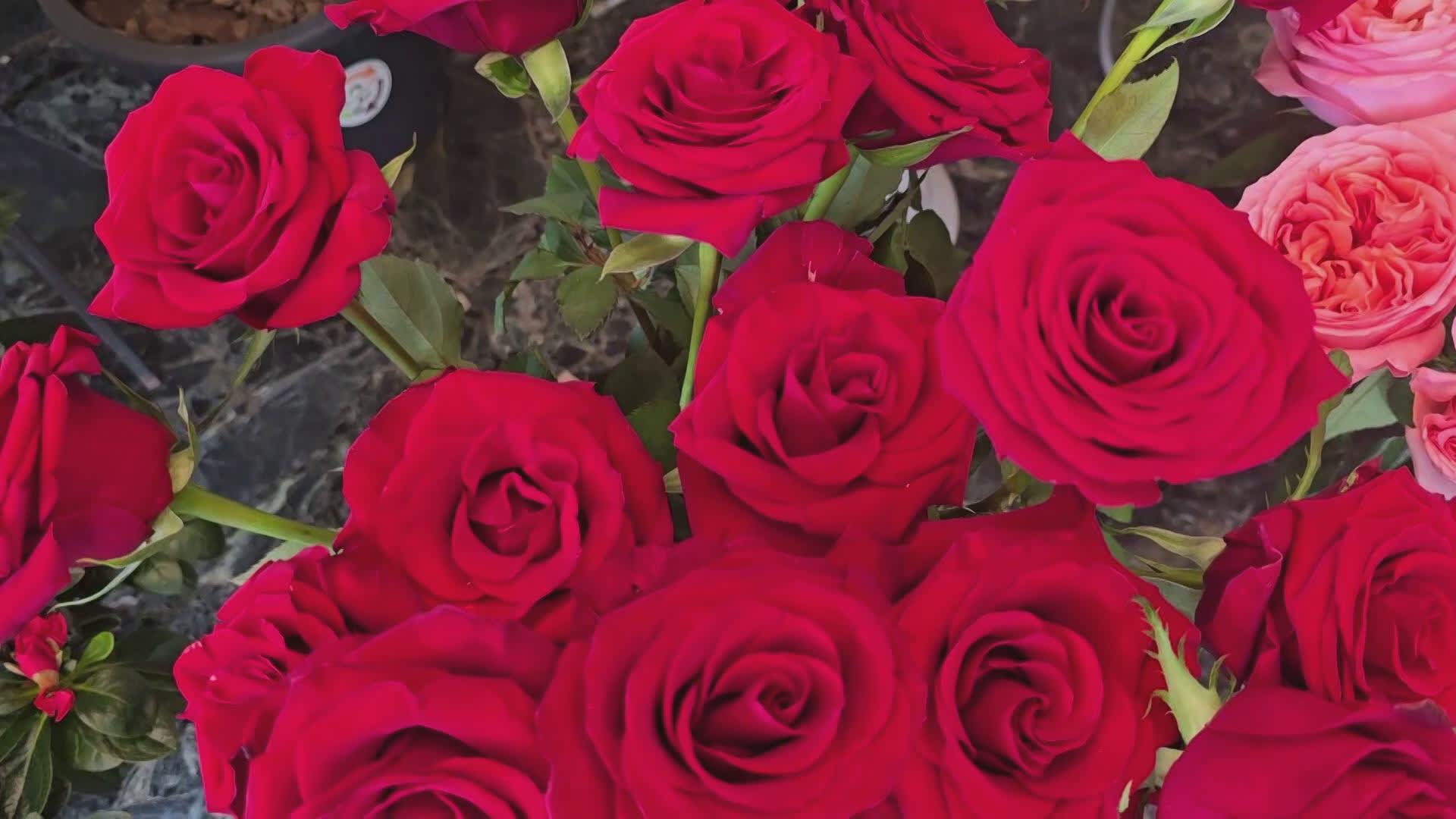 San Valentino quanto mi costi, rose rosse a sei euro l'una