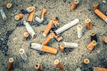 Volatili e mozziconi: a riciclare le sigarette ci pensa la natura