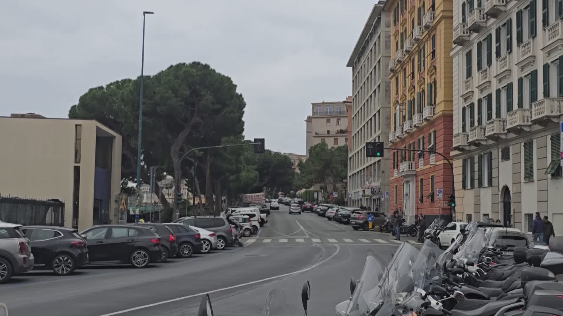 Genova, il Comitato di Carignano: "Abbattuti altri due pini storici, l'Amministrazione riferisca e inverta la tendenza"