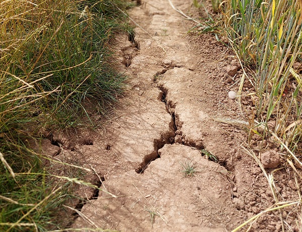 Caldo e siccità, l'allarme degli agricoltori liguri: "Servono interventi strutturali, ora o mai più"