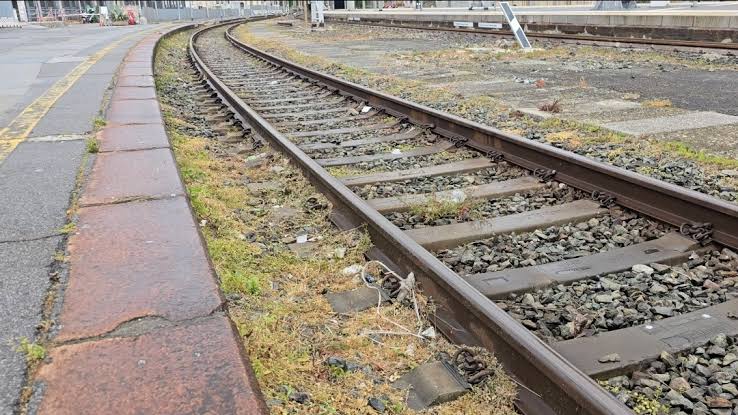 Ferrovie Emilia-Romagna, puntualità in crescita: nel secondo trimestre 2026 il 92% dei treni arriva in orario
