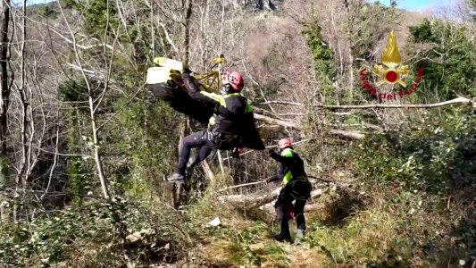 Genova, ciclista cade in un dirupo sulle alture di Vesima: salvato con l'elicottero
