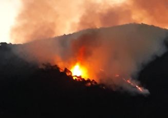 Imperia, appiccò 4 incendi nei boschi: piromane condannato a 18 mesi di carcere