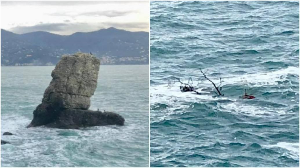 Portofino, addio al 'pino della Carega': sradicato il simbolo della mareggiata 2018