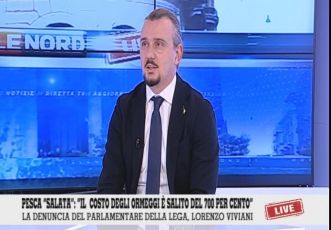 Pesca “salata”, Viviani: “Il costo degli ormeggi salito del 700 per cento”