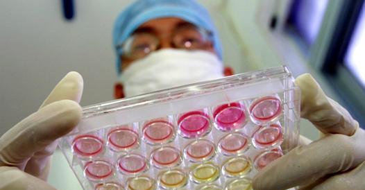 Nuovo virus isolato in Cina: causa sintomi come febbre, depressione e stanchezza 