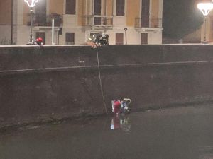 Rapallo, capriolo intrappolato nel torrente: intervento di due ore dei vigili del fuoco