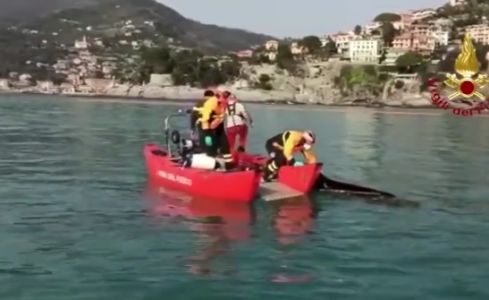 Trovate due salme del cimitero di Camogli nelle acque di Vesima e Quarto