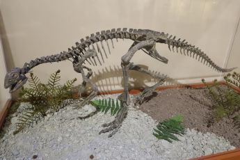 Genova, venduto dinosauro all'asta per 300 mila euro: è risalente al Giurassico