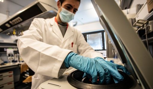 Covid, 4 pazienti trattati con anticorpi monoclonali: ecco in cosa consiste