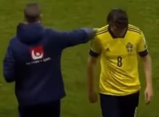 Sampdoria, Ekdal stop: ha una lesione alla coscia sinistra rimediata in nazionale