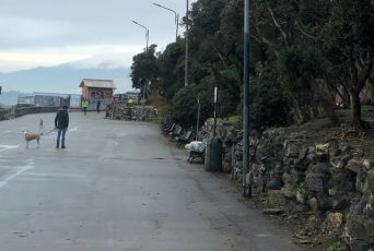 Maxi rissa tra giovani a Quinto: intervengono i carabinieri