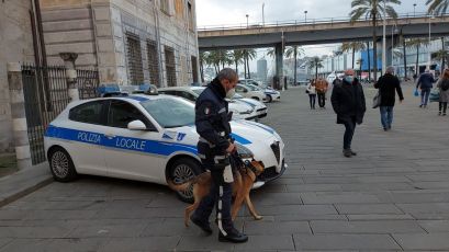 Genova, trovato senza documenti nasconde la droga nell'auto della polizia locale: arrestato
